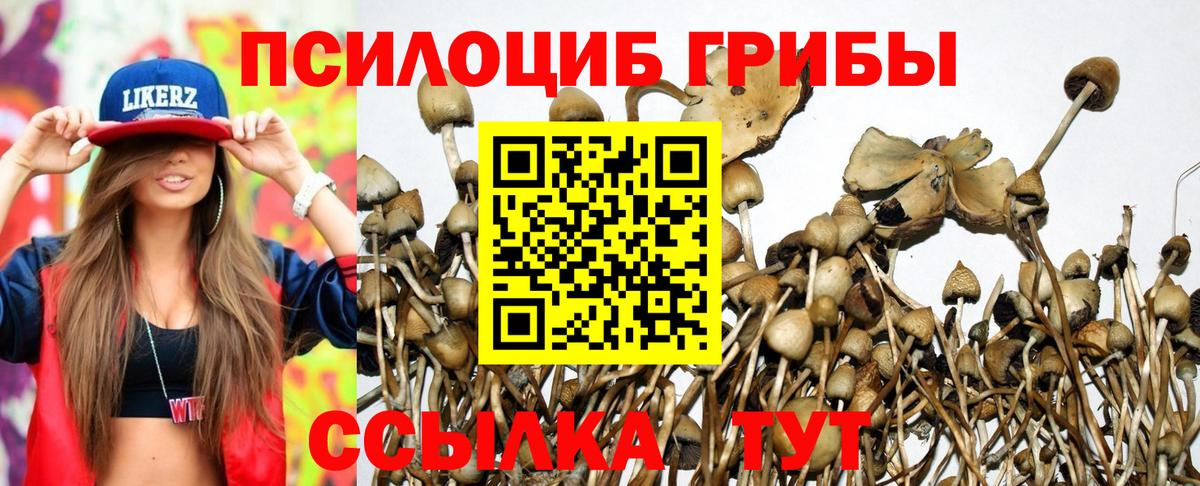 Галлюциногенные грибы Psilocybe  Вход с VPN  Галлюциногенные грибы Psilocybine cubensis  цены наркотик  Ейск 