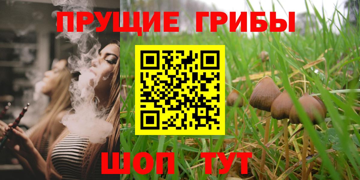 Псилоцибиновые грибы Psilocybine cubensis Ейск